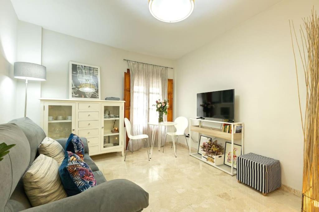 Pajaritos Center By Valcambre Appartement *